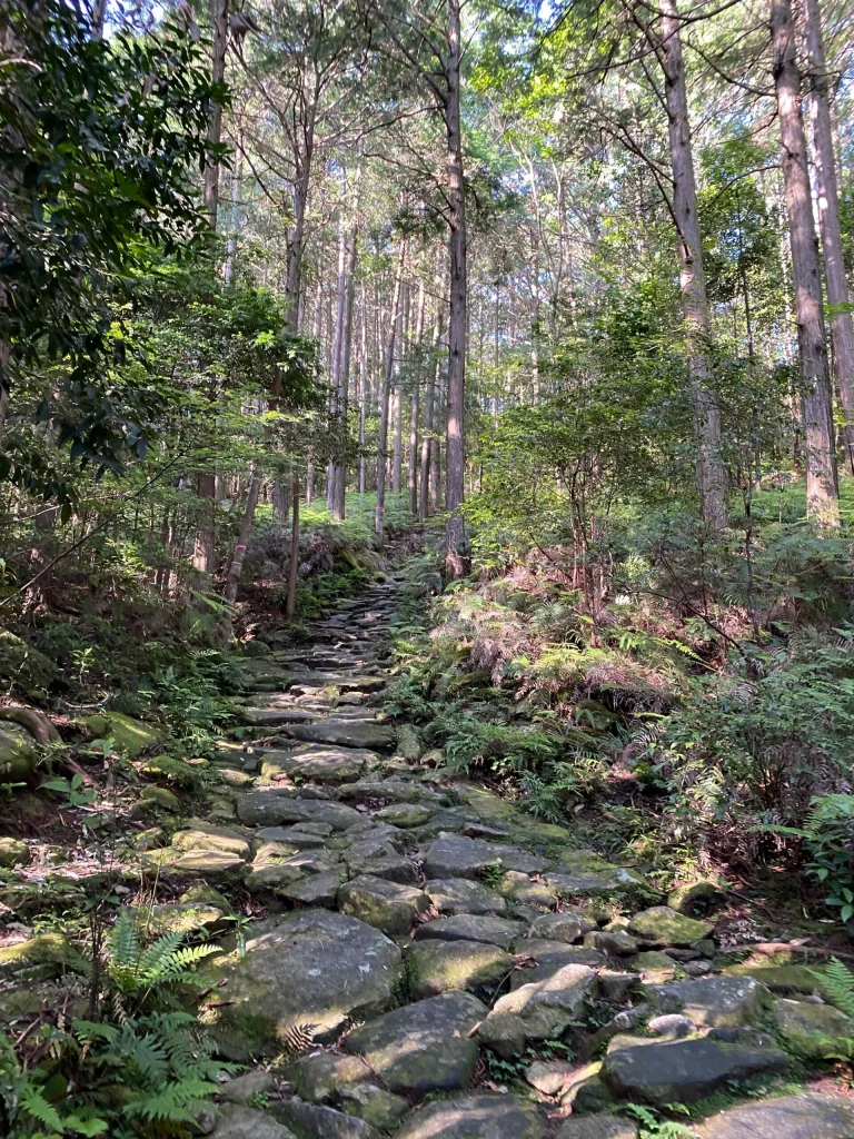 Explore Kumano Kodo Iseji Guided Walk Vol.1: The Pilgrimage Begins at Ise Jingu Shrine