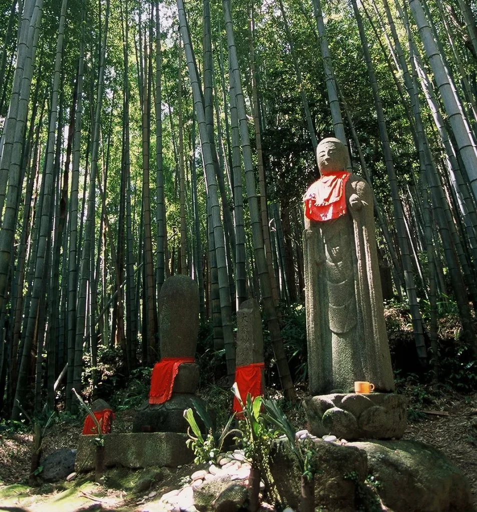 Explore Kumano Kodo Iseji Guided Walk Vol.4: Seaside Beauty from Matsumoto-toge to Shingu