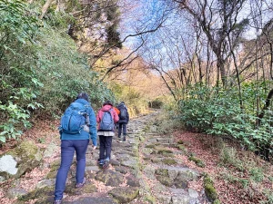 hj-golden-route-hakone-tokaido-hiking-05