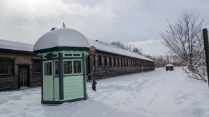 abashiri-drift-ice-wildlife-day2-04