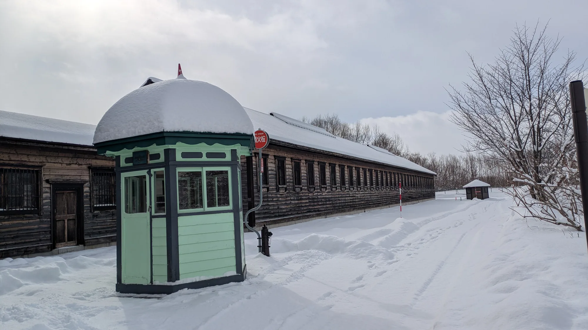 abashiri-drift-ice-wildlife-day2-04