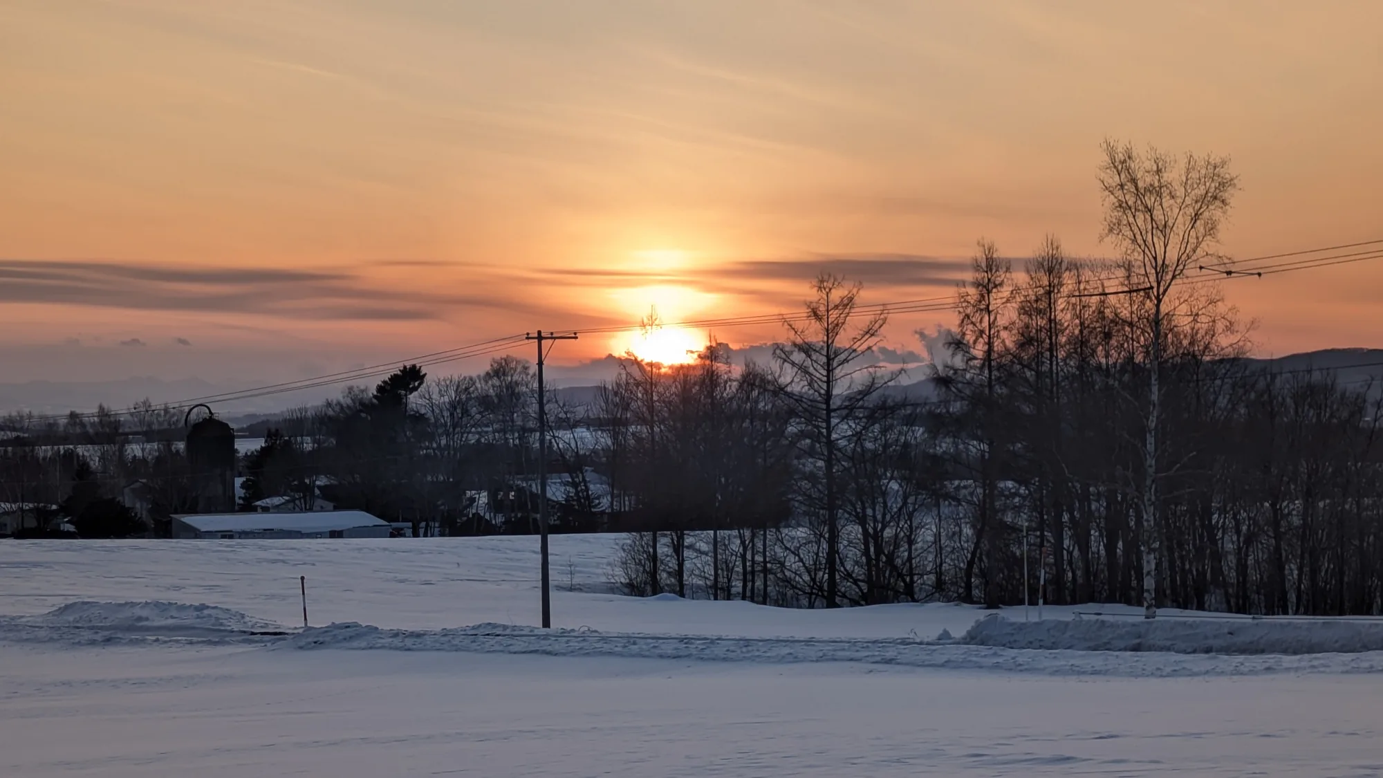 abashiri-drift-ice-wildlife-gallery-abashiri-city-01