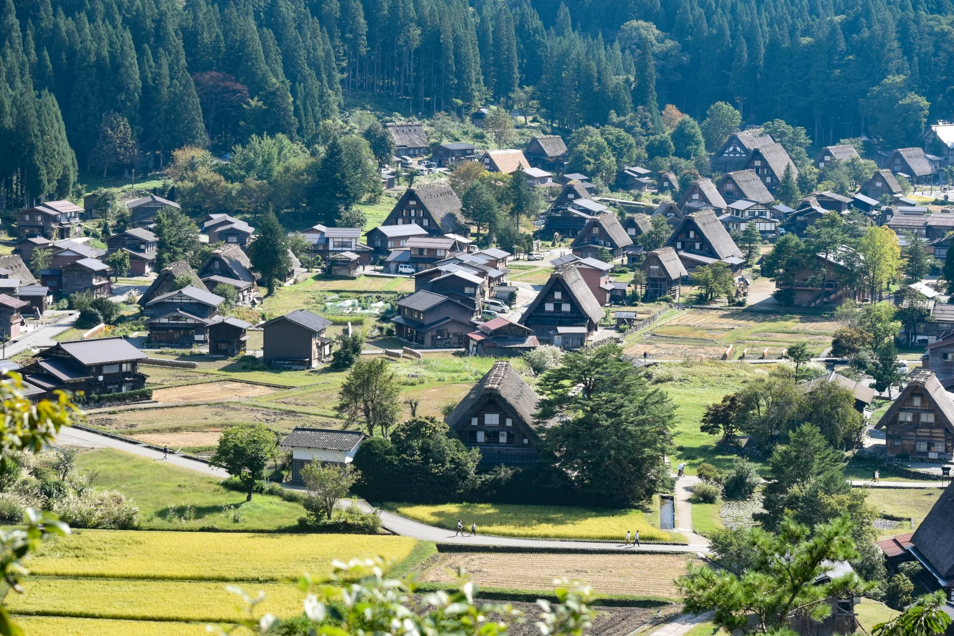 alpine-heritage-shirakawa-go-takayama-day1-02