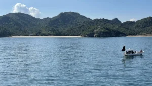 hj-naoshima-unveiled-setouchi-sea-cruise-05-1