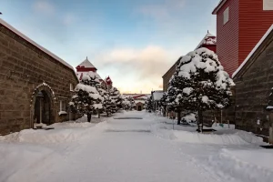 hokkaido-winter-wilderness-snowshoes-day3-nikka-whiskey-01