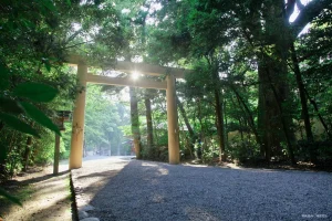 iseji-road-sun-sacred-sea-day1-isejingu-permission-obtained-01