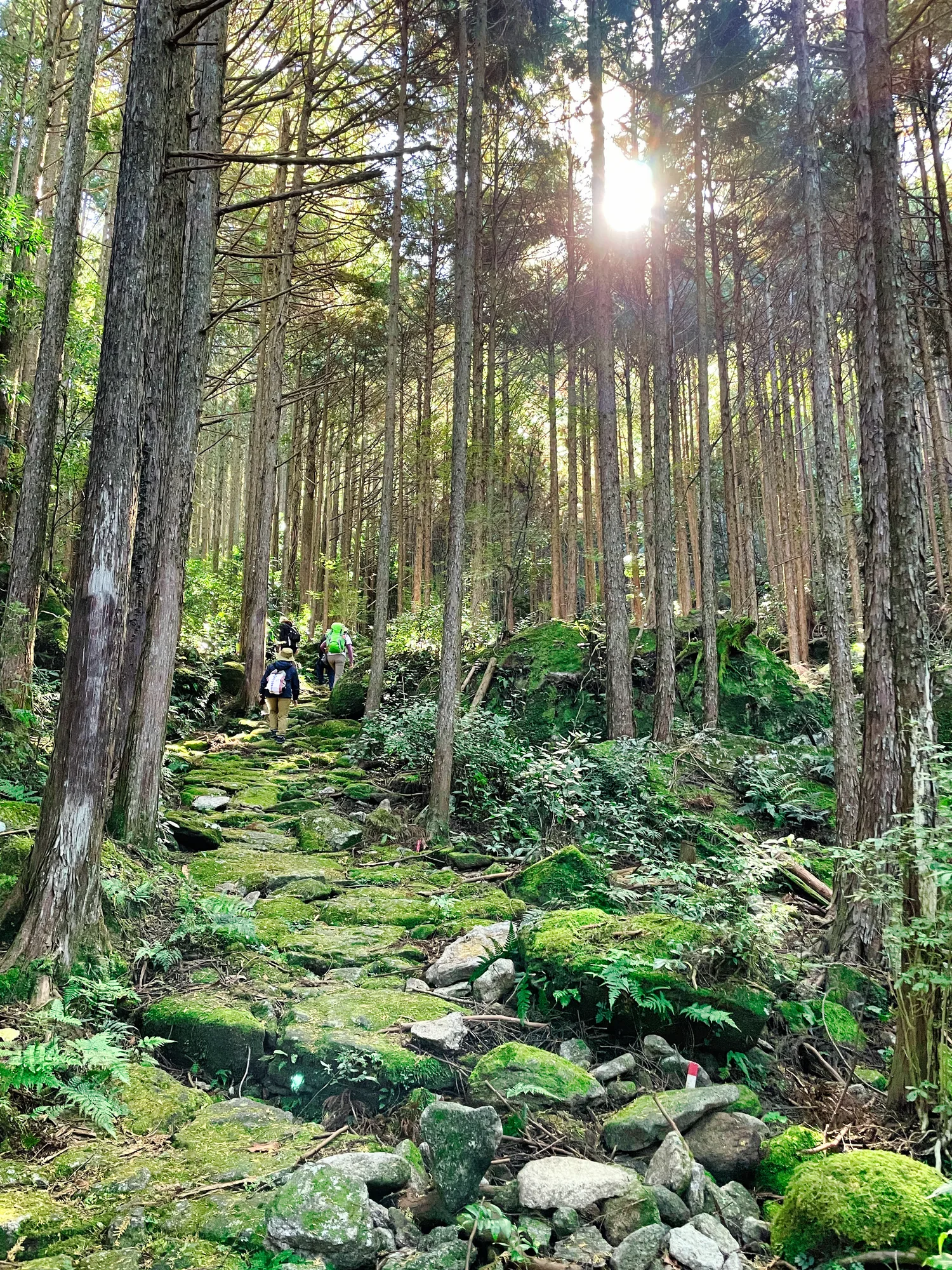 iseji-road-sun-sacred-sea-day3-yakiyama-toge-01