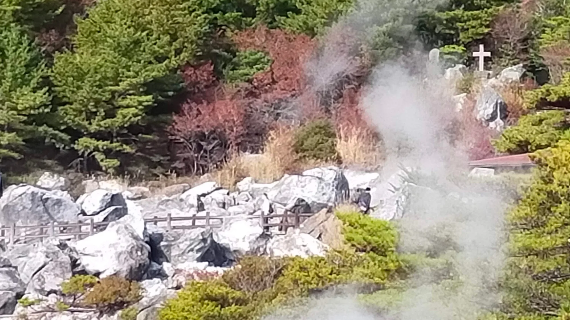 kyushu-wellness-naoshima-art-day3-day3-mayumi-photo-02