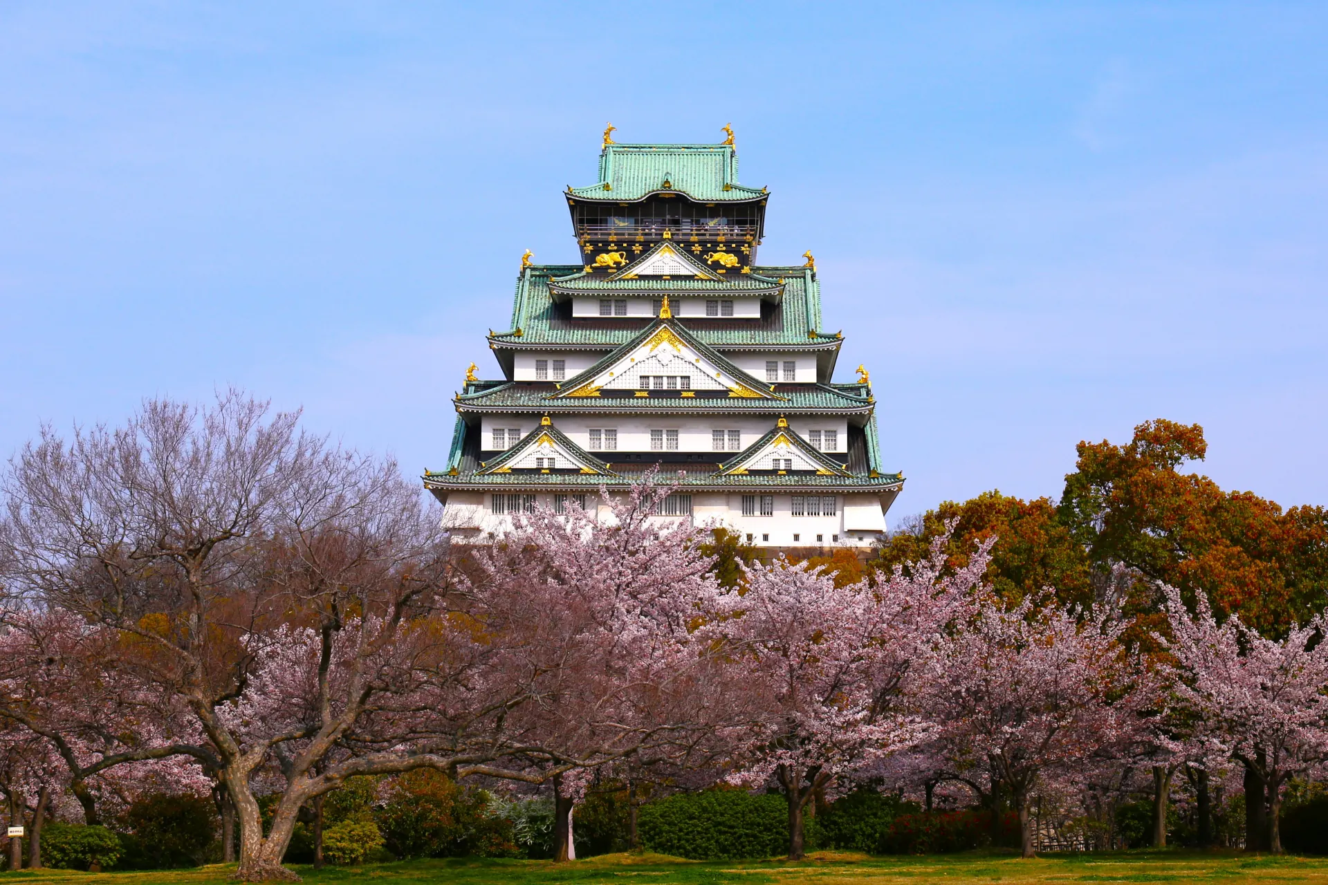 luxury-golden-route-nakasendo-day8-osaka-castle-03