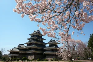 matsumoto-utsukushigahara-day1-01