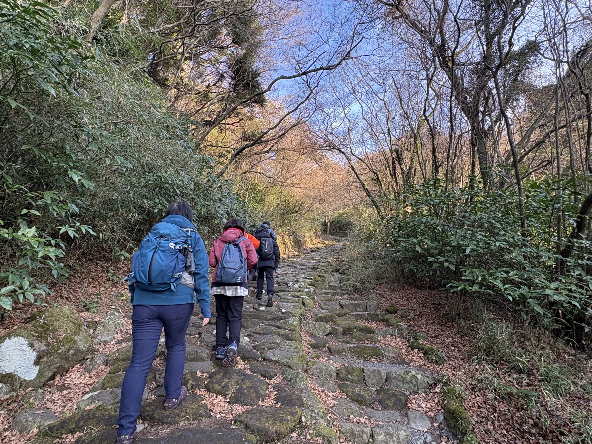 soul-japan-tokyo-hakone-gallery-hakone-tokaido-hiking-05