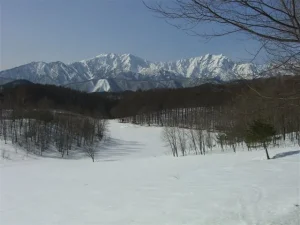 hj-hakuba-hidden-gems-hot-springs-day1-nakayama-kogen-03-3