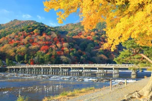 hj-kyoto-cycling-golden-pavilion-geisha-day1-03-togetsukyo-bridge-1