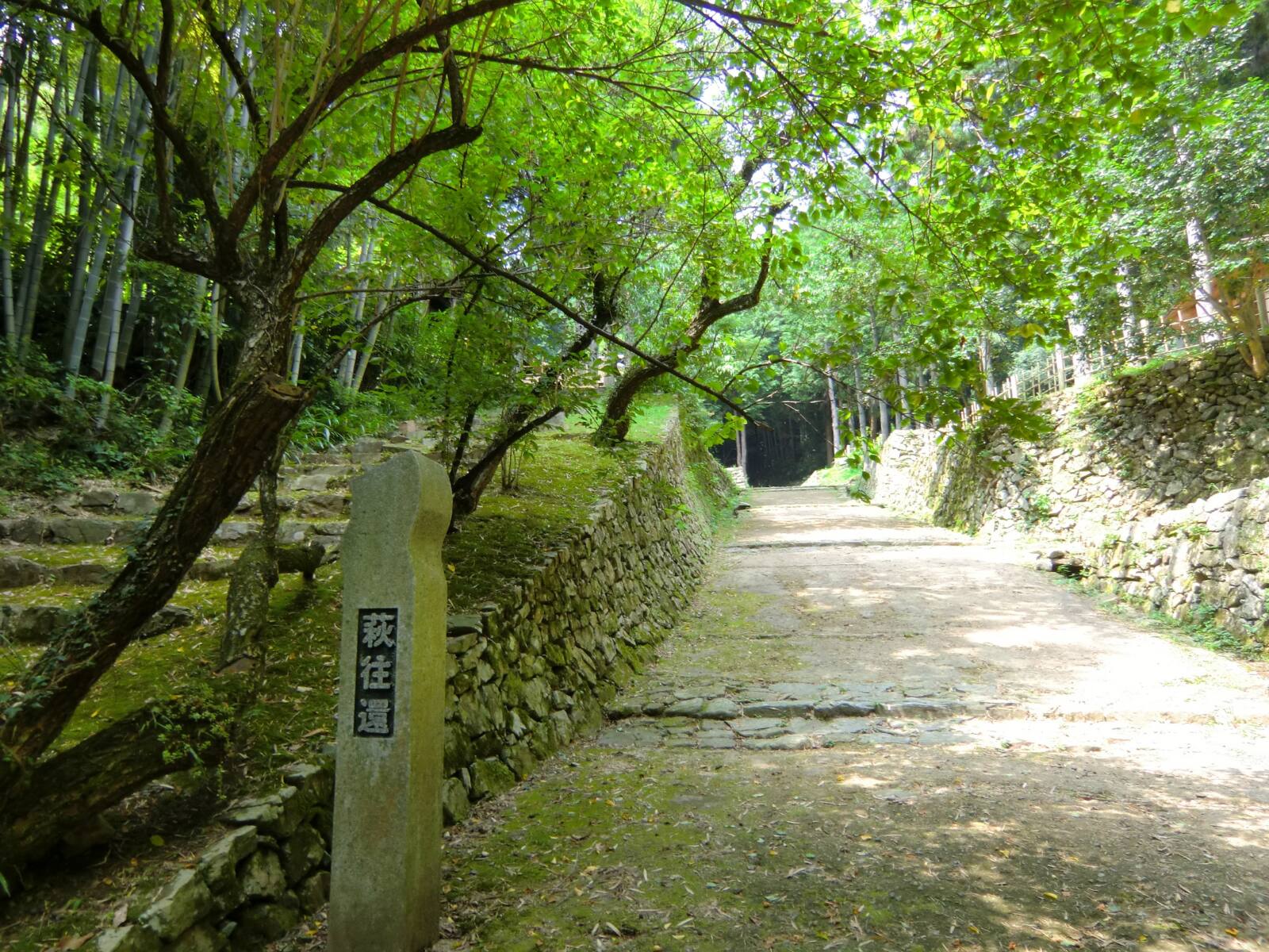 sanin mystical walk day8 hagi okan teahouse