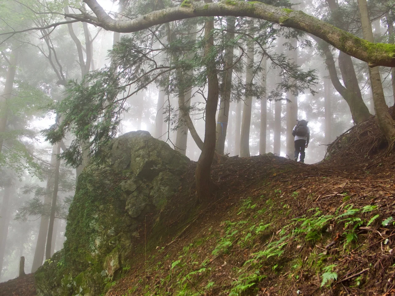 A hiker on the forested Saba Kaido trail above Obama
